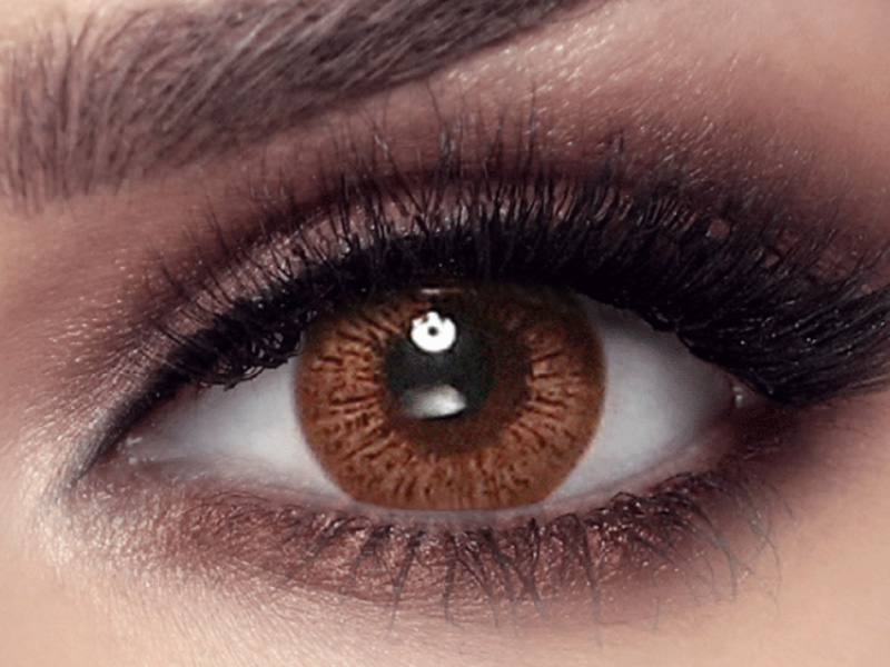 Bella Elite 2020 Collection - 2 lenses - Cinnamon Brown