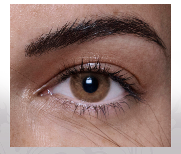 انستازيا انستاتك - عبوة من عدستين - انستاتك تان