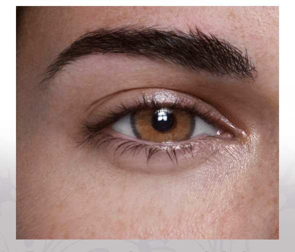 انستازيا ادكت - عبوة من عدستين -  ادكت كريما