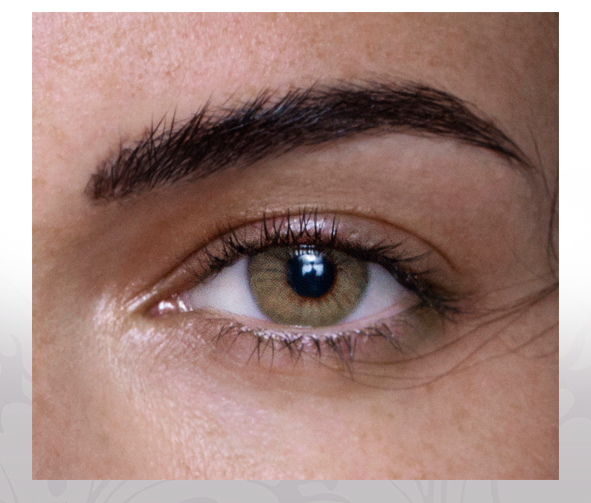 انستازيا ادكت - عبوة من عدستين - ادكت ارينا