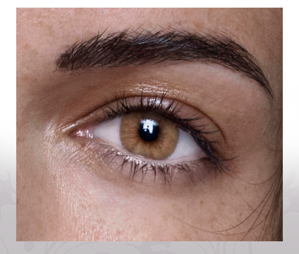 انستازيا ادكت - عبوة من عدستين - ادكت كستانو