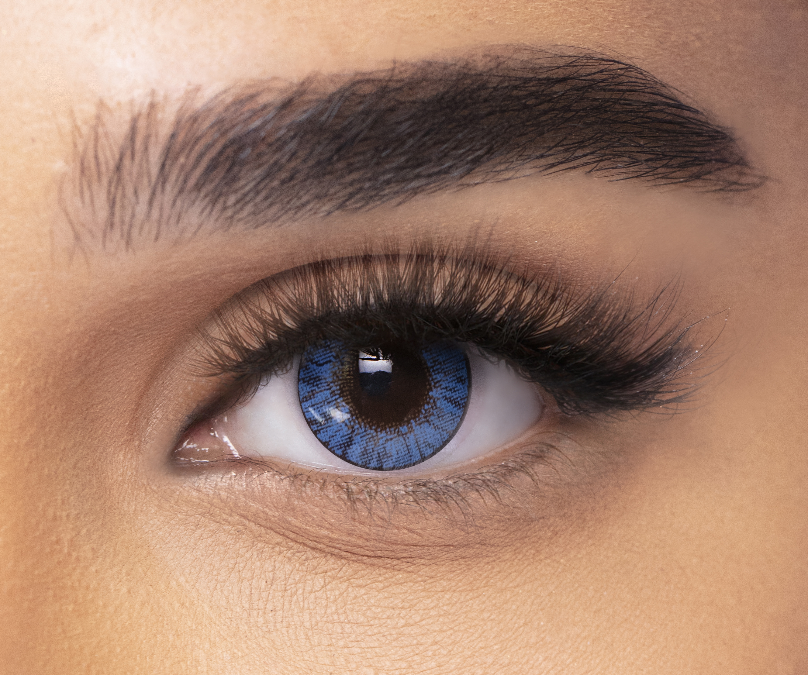 فريش لوك كولور بليندز  - عبوة من عدستين - ترو سافاير