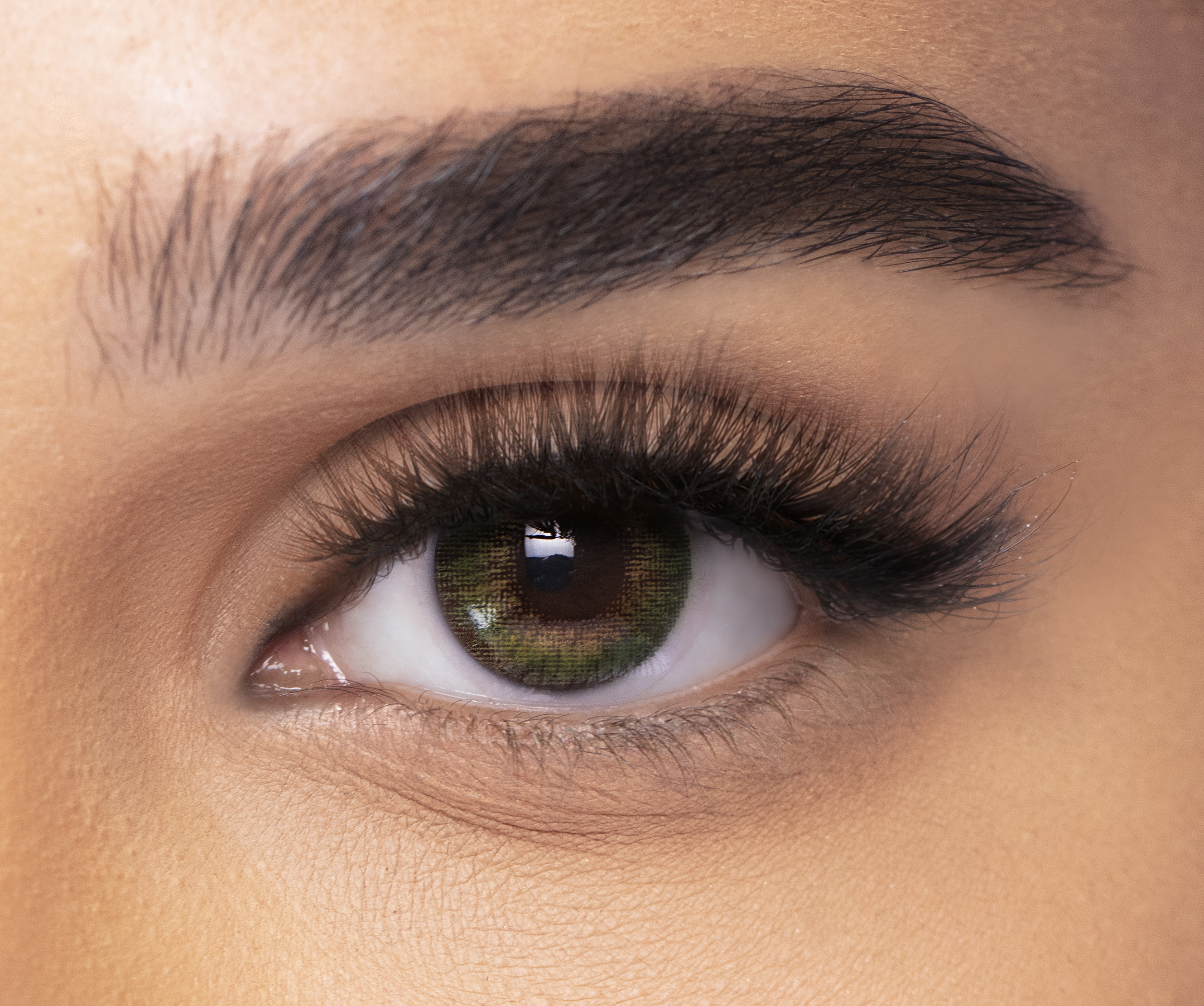 فريش لوك وان داي كولور بليندز - عبوة من 30 عدسة - جرين