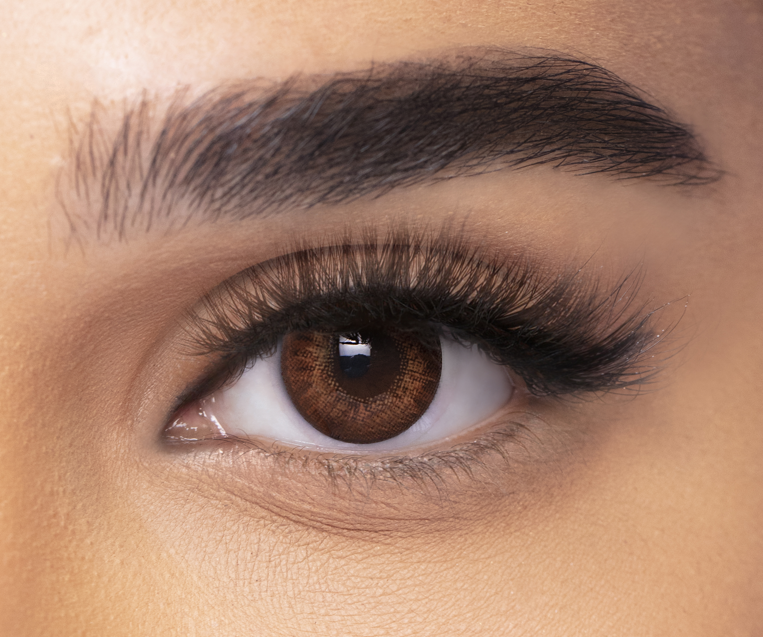 فريش لوك كولور بليندز - عبوة من عدستين - براون