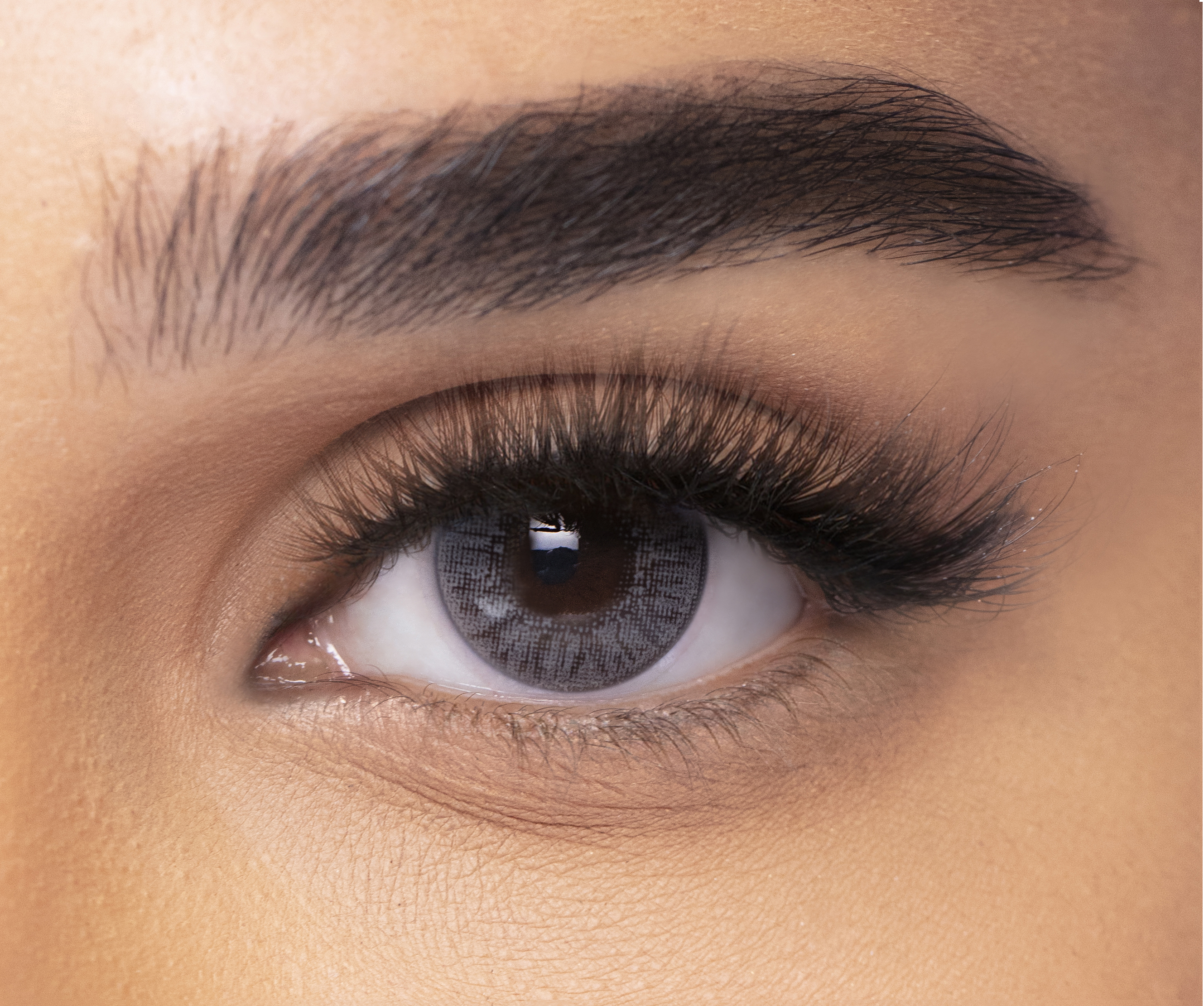 فريش لوك كولورز - عبوة من عدستين - ميستي جراي